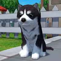 Симулятор Собаки - Жизнь Животных 1.0.2.6