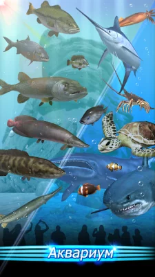 Fishing Season :River To Ocean screenshot №4