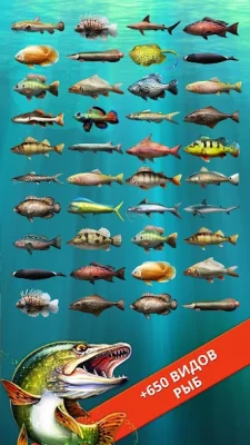 Let's Fish: Симулятор рыбалки screenshot №4
